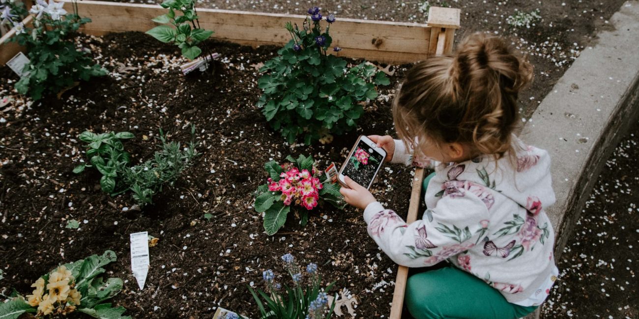 un enfant découvre les légumes dans un potager