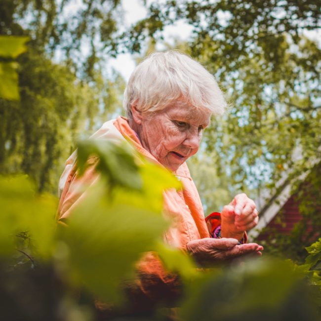 personne âgée dans un jardin